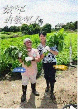 青春环游记